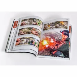 7 VS. WILD - DER OFFIZIELLE SURVIVAL-GUIDE - Survival Guide