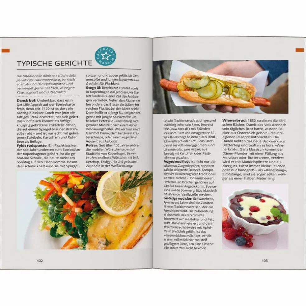 BAEDEKER REISEFÜHRER DÄNEMARK