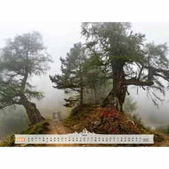 BEST OF MOUNTAIN BIKE 2026 - Kalender