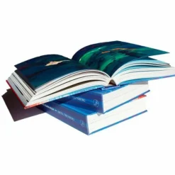 DAS KLIMA-BUCH VON GRETA THUNBERG - Sachbuch