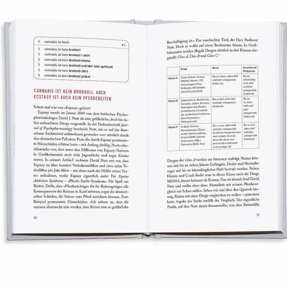 DIE KLEINSTE GEMEINSAME WIRKLICHKEIT - Sachbuch