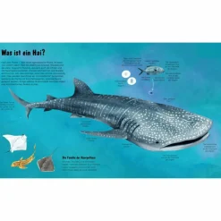 DIE WELT DER HAIE - Kinderbuch