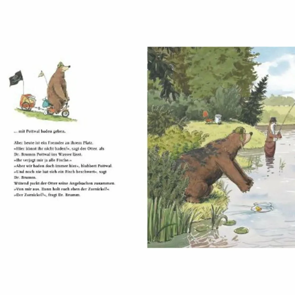 DR. BRUMM: DR. BRUMMS VERRÜCKTE WOCHE - Kinderbuch