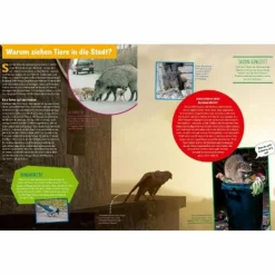 GENIALE NATUR! DIE SUPERTRICKS UNSERER TIERE UND PFLANZEN - Kinderbuch