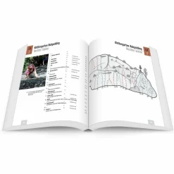 KLETTERFÜHRER BAYERISCHE ALPEN BAND 1