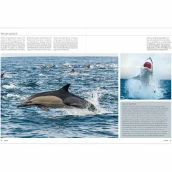 KUNTH SÜDAFRIKA. DAS BUCH (MAGNUM-AUSGABE) - Bildband