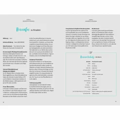 ON THE ROAD MIT DEM CAMPERVAN DURCH DEN  BALKAN - Reiseführer