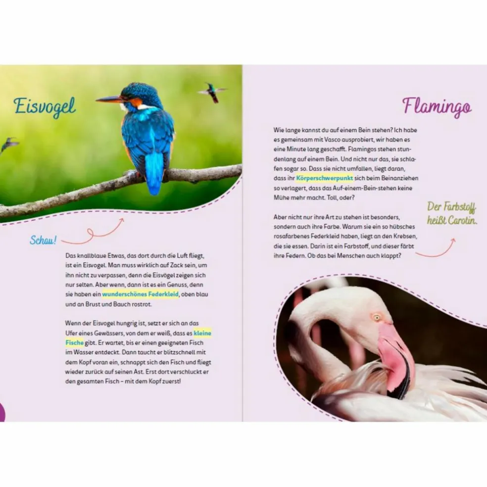 PORTUGAL FOR KIDS - Reiseführer