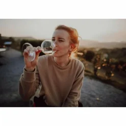 REISEHANDBUCH SLOWENIEN - Reiseführer