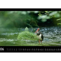 SÄCHSISCHE SCHWEIZ 2026 - Kalender