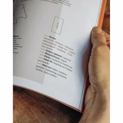 THE FEMALE EXPLORER #1 - Reisebericht