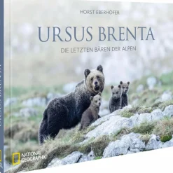 URSUS BRENTA - DIE RÜCKKEHR DER BÄREN IN DIE ALPEN - Bildband