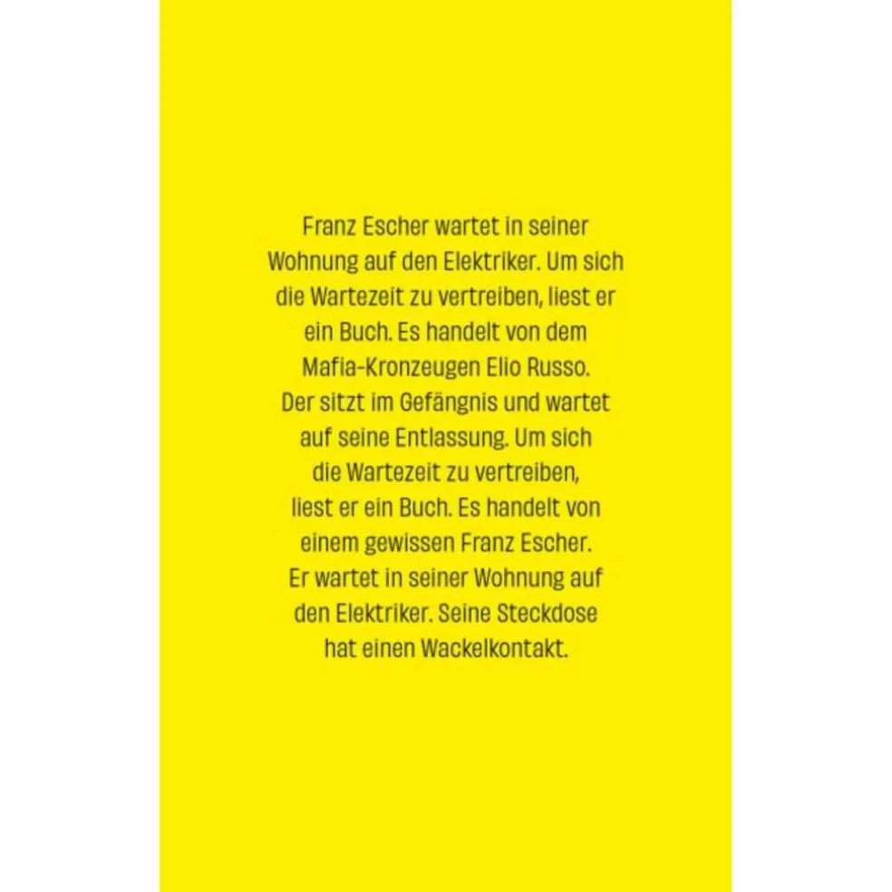 WACKELKONTAKT - Roman