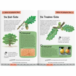 WELCHER BAUM IST DAS? KINDERNATURFÜHRER - Kinderbuch