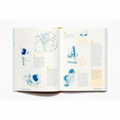 WIE MAN EIN BAUMHAUS BAUT - Ratgeber