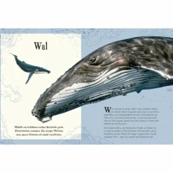 WUNDERVOLLE WELT DER TIERE - Kinderbuch