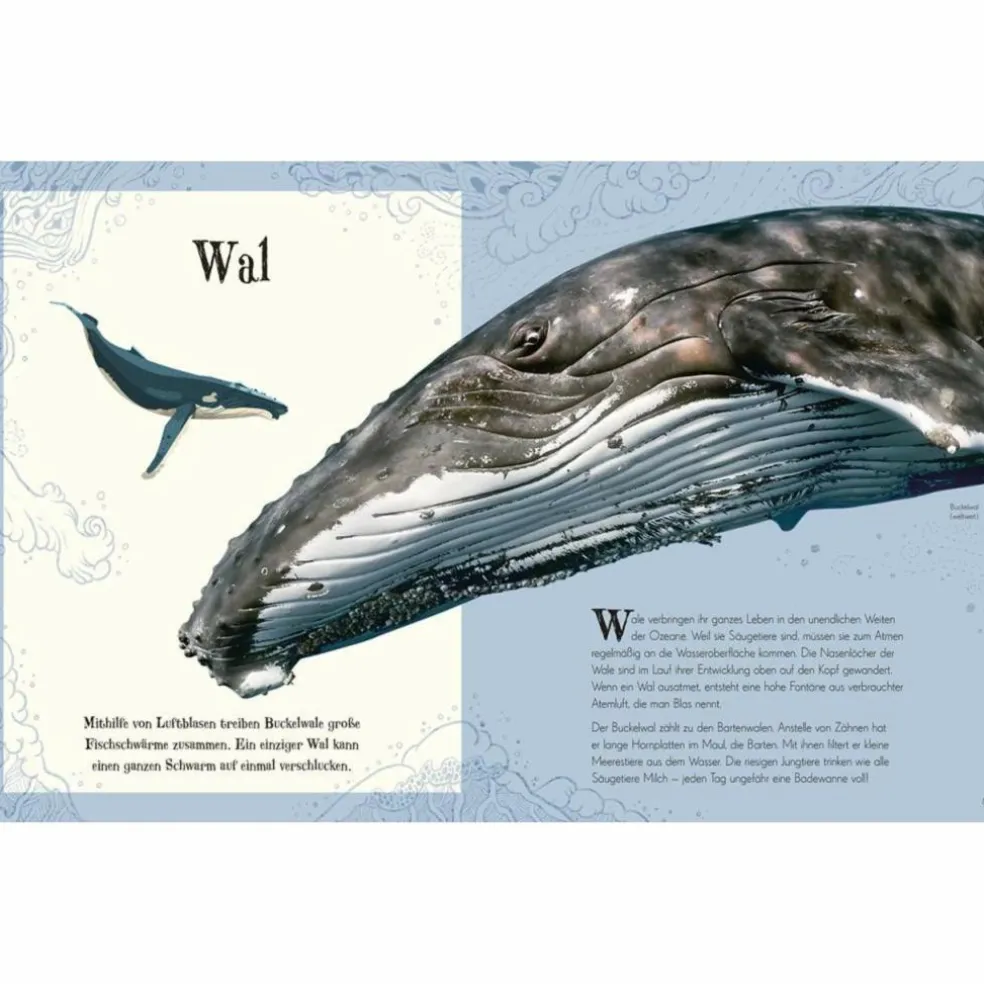 WUNDERVOLLE WELT DER TIERE - Kinderbuch